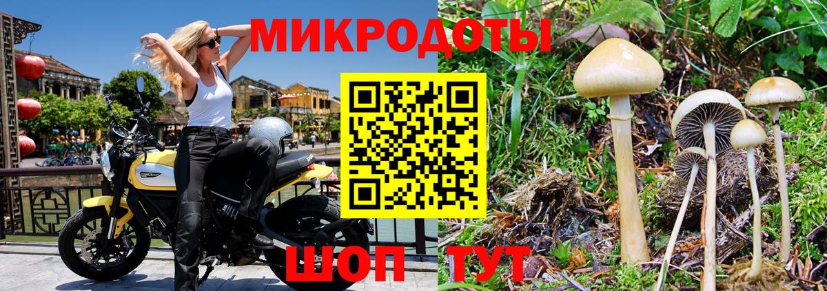Псилоцибиновые грибы Psilocybe  Вход с VPN  Псилоцибиновые грибы прущие грибы  Нефтекамск 